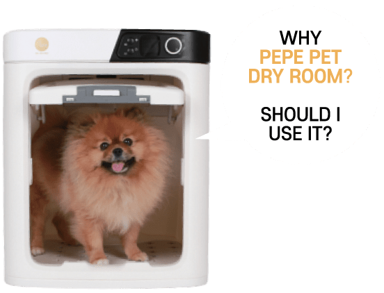 Pepe 2025 pet dryer